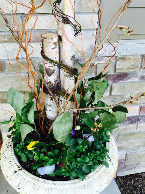 Spring Porch Container with Birch and Pansies