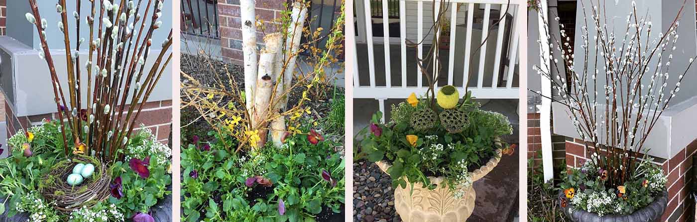 Spring Container Gardens