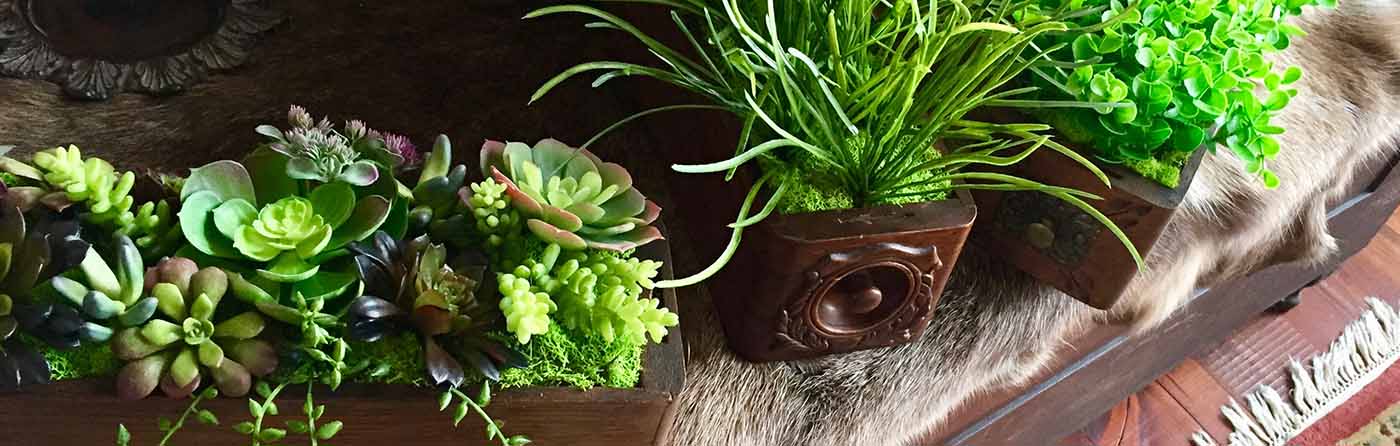 Faux Real Succulents