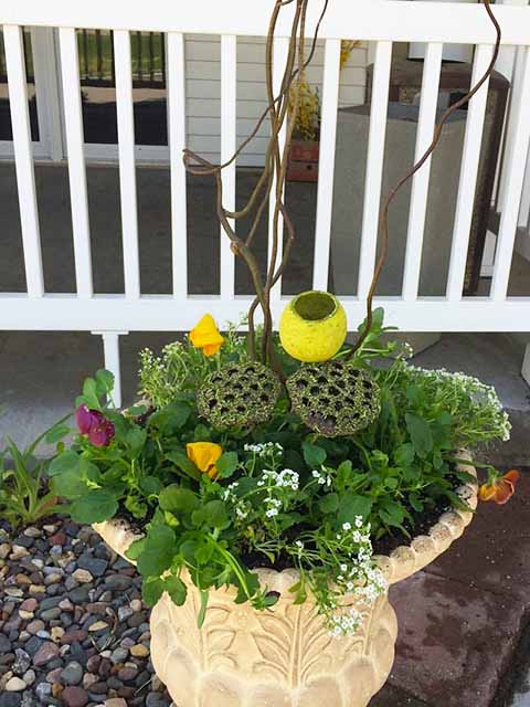 Spring flower pot