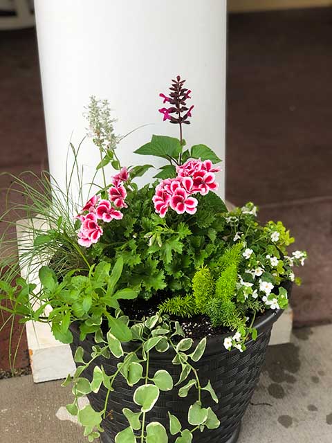 Summer Pink and Green container
