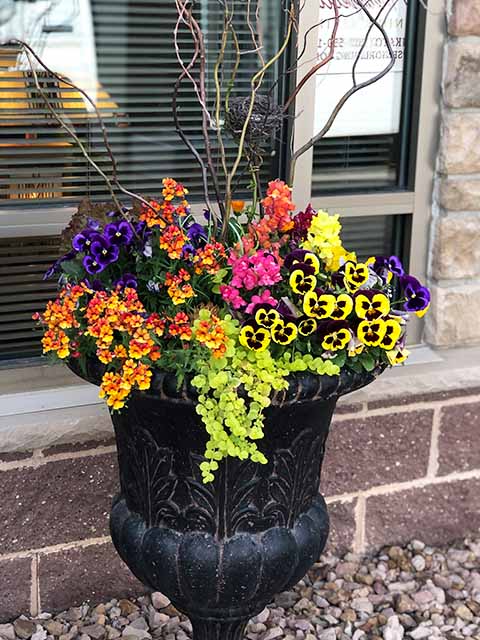 Bright Spring flowers