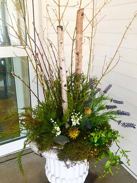Pre-Spring Birch branch container