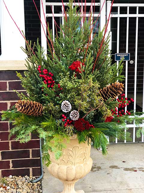 Winter container with red pop