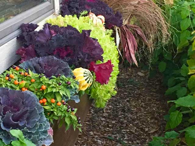 Fall window box
