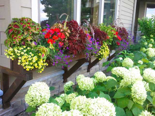 Summer window box